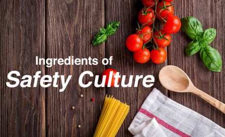 Safety Culture on Ships: What are the ingredients?